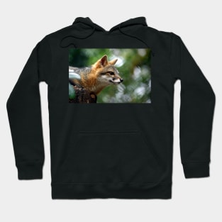 contemplate Hoodie